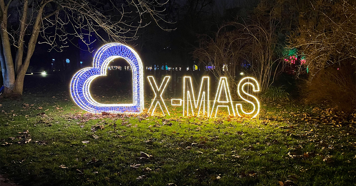 Magische Momente bei der levigo Weihnachtsfeier