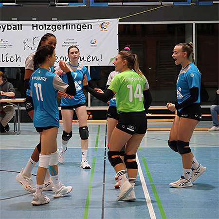 volleyball-holzgerlingen